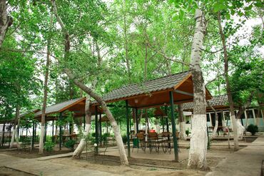 Kommersiya daşınmaz əmlakının satışı: Obyekt İstirahət Mərkəzi satılır 1 hektarda Hacıqabul İpək yolu — 6