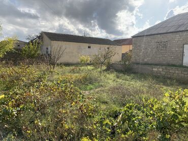 Bağ evlərinin satışı: Bakı, Albalı, 110 kv. m, 3 otaqlı, Hovuzsuz, Kanalizasiya, Qaz, Su -da lalafo.az — 3 Bağ evlərinin satışı: Bakı, Albalı, 110 kv. m, 3 otaqlı, Hovuzsuz, Kanalizasiya, Qaz, Su — 3