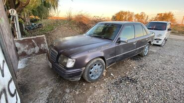 реле мерседес: Mercedes-Benz W124: 1996 г., 2.2 л, Механика, Бензин, Седан