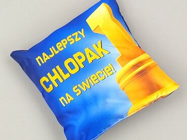 PL - Pillow 18 x 19, color - Blue, condition - Very good