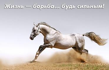 инструктор лфк вакансии: ИЩУ РАБОТУ ПО ФИЗКУЛЬТУРЕ В ГОС.КОЛЛЕДЖЕ (ТЕХНИКУМ, УЧИЛИЩЕ — 10