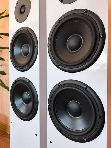 kasetofon stari: C2 Mk II - Podignite zvučno iskustvo na novi nivo sa Audiovector C2 Mk — 5