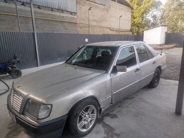 стрижка кошек с выездом на дом: Продам авто продам авто продам авто продам авто продам авто продам