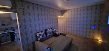 Долгосрочная аренда квартир: 1 комната, С мебелью частично — 15