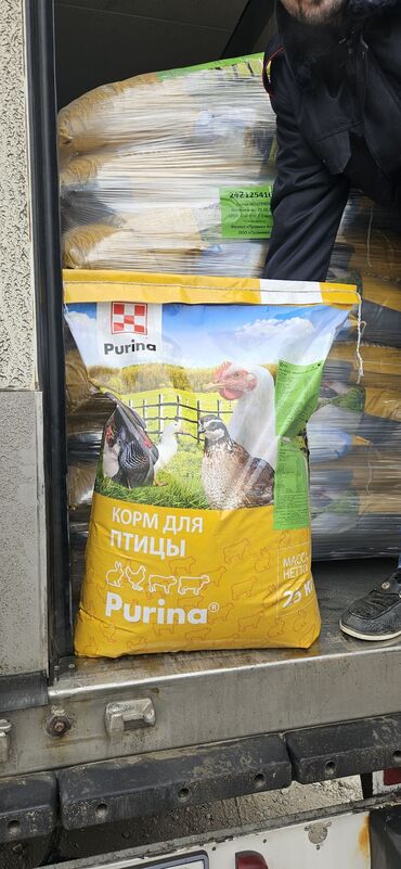 heyvan yemleri: Broyler ve hiduska yemi
rusiya istehsali. PURINA