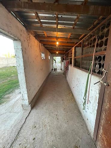 Продажа коттеджей и домов: ПРОДАЁТСЯ 2 ДОМА В ГОРОДЕ КАРА БАЛТА ПО УЛИЦЕ ЭРКИН АЛЫБАЕВА И — 24