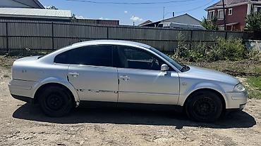 e53 amg: Volkswagen Passat: 2003 г., 2 л, Автомат, Бензин, Седан — 4