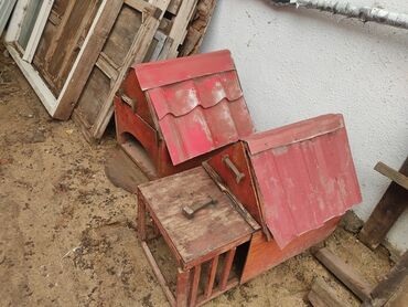 Yuvalar: It yuvasi bir ededi 20 az -da lalafo.az — 6 Yuvalar: It yuvasi bir ededi 20 az — 6