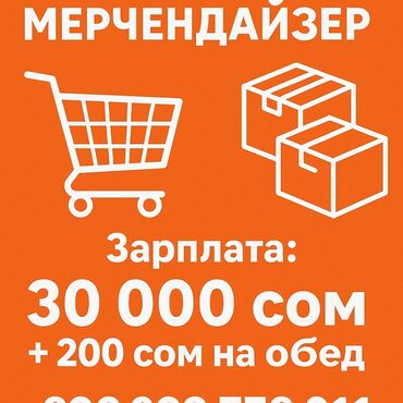 ищу работу промоутером: Требуется Мерчендайзер, График: Шестидневка, Полный рабочий день, Карьерный рост
