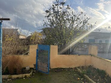 Həyət evləri və villaların satışı: 1 otaqlı, 50 kv. m, Kredit var, Orta təmir -da lalafo.az — 9 Həyət evləri və villaların satışı: 1 otaqlı, 50 kv. m, Kredit var, Orta təmir — 9