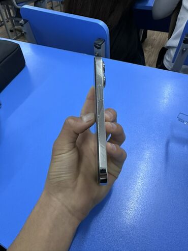 Apple iPhone: IPhone 13 Pro, Б/у, 256 ГБ, Серебристый, Чехол, 76 % — 4