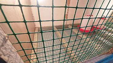 Зоотовары: Брудер для цыплят. универсальный Брудер жожого бодоного коенго хомяка — 21