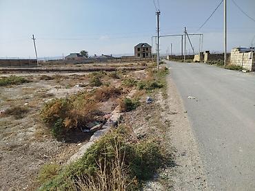 digahda torpaq: 6 sot, Tikinti, Mülkiyyətçi, Kupça (Çıxarış) — 4