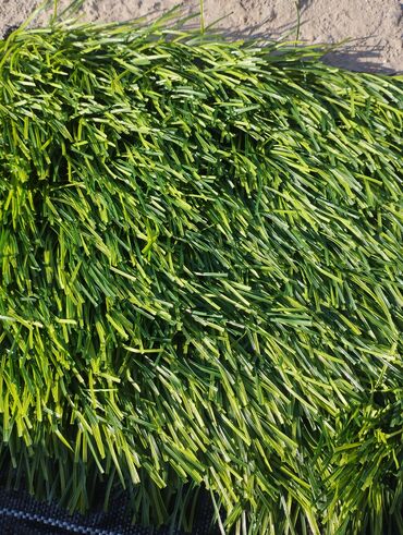 Газон: Газон Газон декор любые размеры — 9