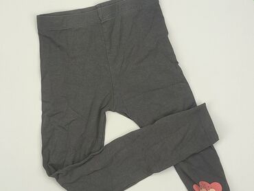 Legginsy: Legginsy dziecięce, Little kids, 7 lat, 116/122, stan - Dobry