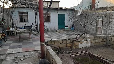 binə mehriban qonşular: 4 sot, Tikinti, Mülkiyyətçi, Kupça (Çıxarış) — 6