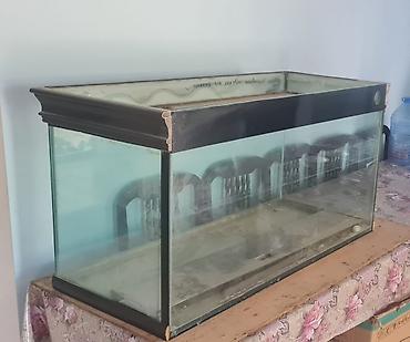 akvarium filterleri: Dördbucaq akvarium, Boş, 300 l — 2