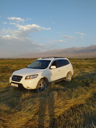 дом на обмен: Hyundai Santa Fe: 2008 г., 2 л, Автомат, Дизель, Кроссовер