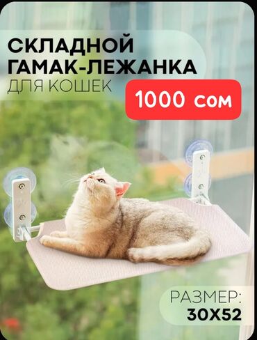 домик для кошки купить: 🐱🐶 лежанки, Тоннели игровые !!! Гамак-лежак для кошек для окна на