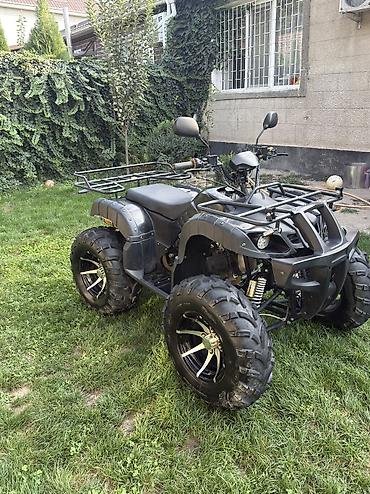 квадроцикл мини: Продаю квадроцикл Tiger Max Grade 150 на литых дисках Квадроцикл в — 3
