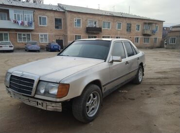 Mercedes-Benz: Mercedes-Benz 220: 1990 г., 3 л, Механика, Дизель, Седан