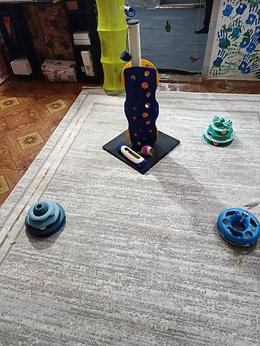 Другие услуги: Здравствуйте 🌿 Зоогостиница «Мурляндия» принимает только домашних — 11