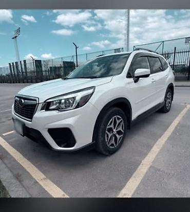 outback 2017: Subaru Forester: 2020 г., Кроссовер — 1