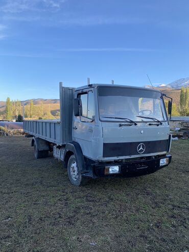 авто до 250000: Mercedes-Benz : 1991 г., 6 л, Механика, Дизель, Бус