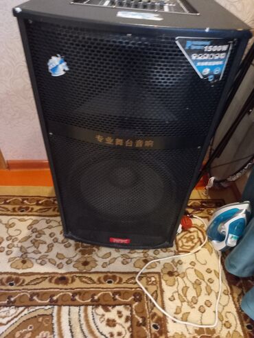 блютуз наушник: Портативная акустическая система «Professional Audio System» с