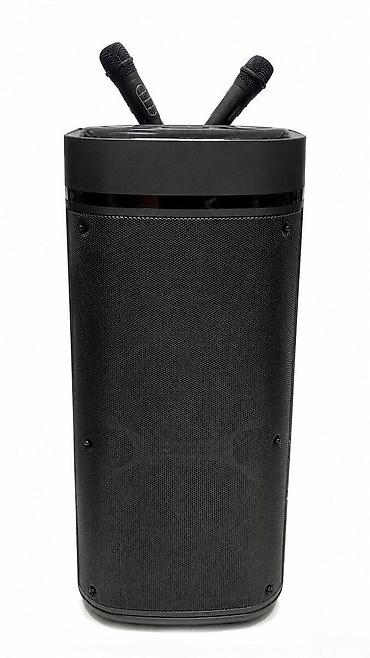 kalonkalar: Bluetooth karaoke dinamik 2 mikrofonlu Smla ZQS12201 Bütün — 1