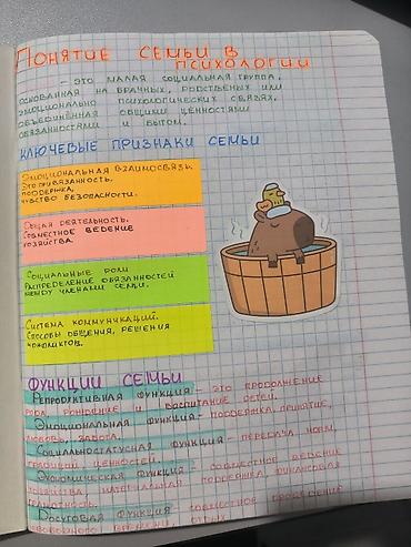 школьники ххх: Пишу конспекты от руки аккуратными печатными буквами. Грамотное — 1