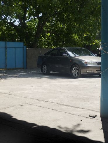 тайота прадо 2004: Toyota Camry: 2002 г., 3 л, Автомат, Бензин, Седан