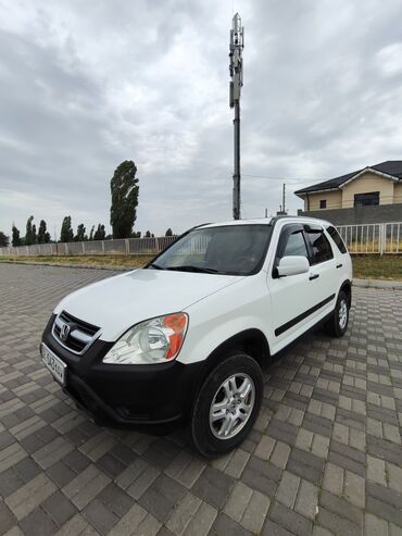 хонда сеп: Honda CR-V: 2004 г., 2.4 л, Автомат, Бензин, Внедорожник