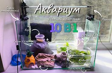 Аквариумы: Аквариум с полным комплектом (готов к запуску) В комплекте: - — 1