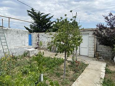Bağ evlərinin satışı: Digah, 70 kv. m, 3 otaqlı, Hovuzsuz, Qaz, İşıq, Su — 5