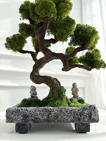 Декоративные цветы: Деревья-бонсай из натурального стабилизированного мха🌳 -это — 74