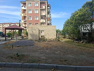gəncə dasinmaz əmlak: Biznes üçün — 5