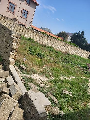 mahrasa bagi gence: 6 sot, Kənd təsərrüfatı, Mülkiyyətçi, Bələdiyyə — 7