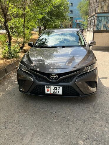 тойота новах: Toyota Camry: 2019 г., 2.5 л, Типтроник, Бензин, Седан