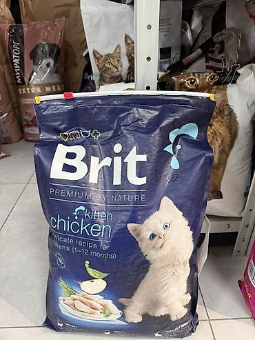 сухой корм для кошек: Сухой корм для кошек Brit Premium by Nature 1кг 430сом - — 2
