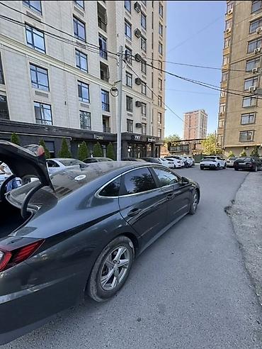sonata: Hyundai Sonata: 2022 г., Седан — 3