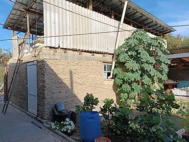 Продажа коттеджей и домов: В продаже Дом с огородом 18 соток . Для более детального обсуждения — 3