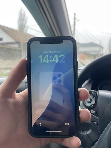 Apple iPhone: IPhone X, Черный, Чехол — 11