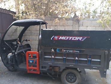 go park: Грузовой трицикл «Летучий Конь» (бренд Motor) с опрокидывающимся — 3