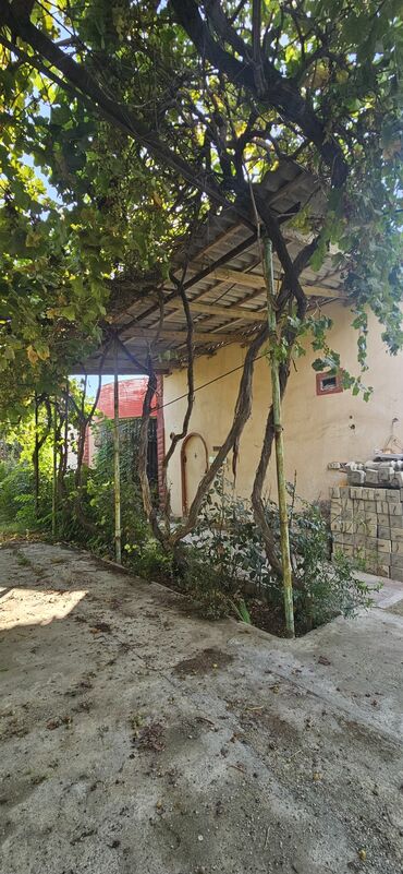 Torpaq sahələrinin satışı: 48 sot, Kənd təsərrüfatı, Kupça (Çıxarış) — 21