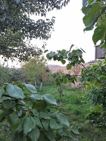 Uzunmüddətli kirayə evlər: Günəşli bağ massivi 8 ci küçə 20 nömrəli məktəbə yaxın, 7 sotun içində — 9