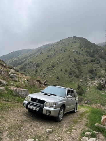 донголок селка: Subaru Forester: 2002 г., 2 л, Автомат, Бензин