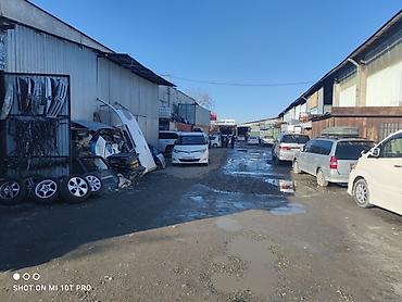 Kia: Kia K5: 2020 г. — 1