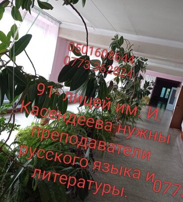 детский психолог: Талап кылынат Мугалим - Орус тили, Билим берүү борбору, 1-2-жылдык тажрыйба