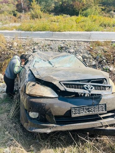 передвижные дома: Toyota Ipsum: 2006 г., Хетчбек